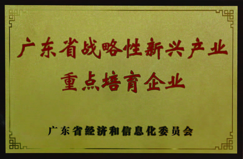 广东省战术性新兴产业重点造就企业